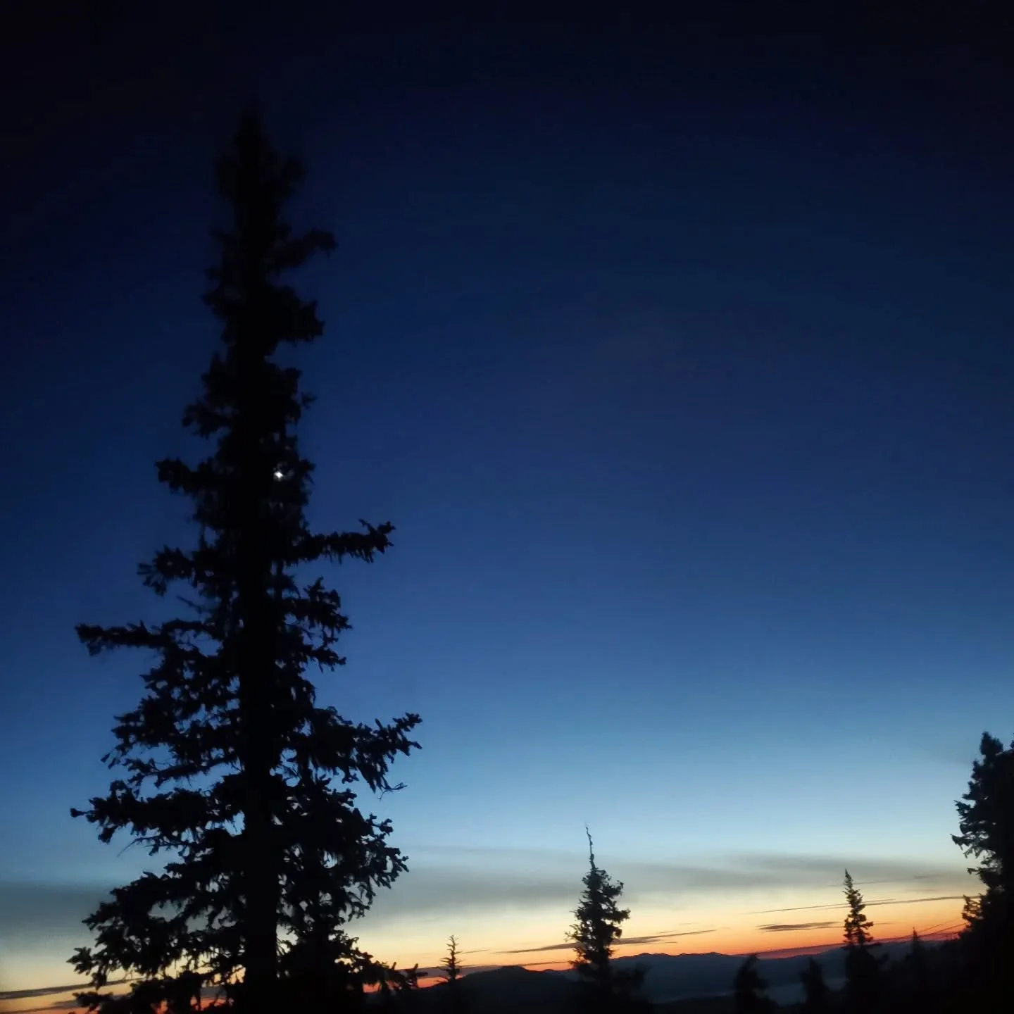 We are busy working on more fix it projects throughout the week...We have some snow in the forecast and cold temps AT LAST! We will stay closed Thur and Friday this week and look forward to seeing you for the weekend ! 

The last couple weeks have be