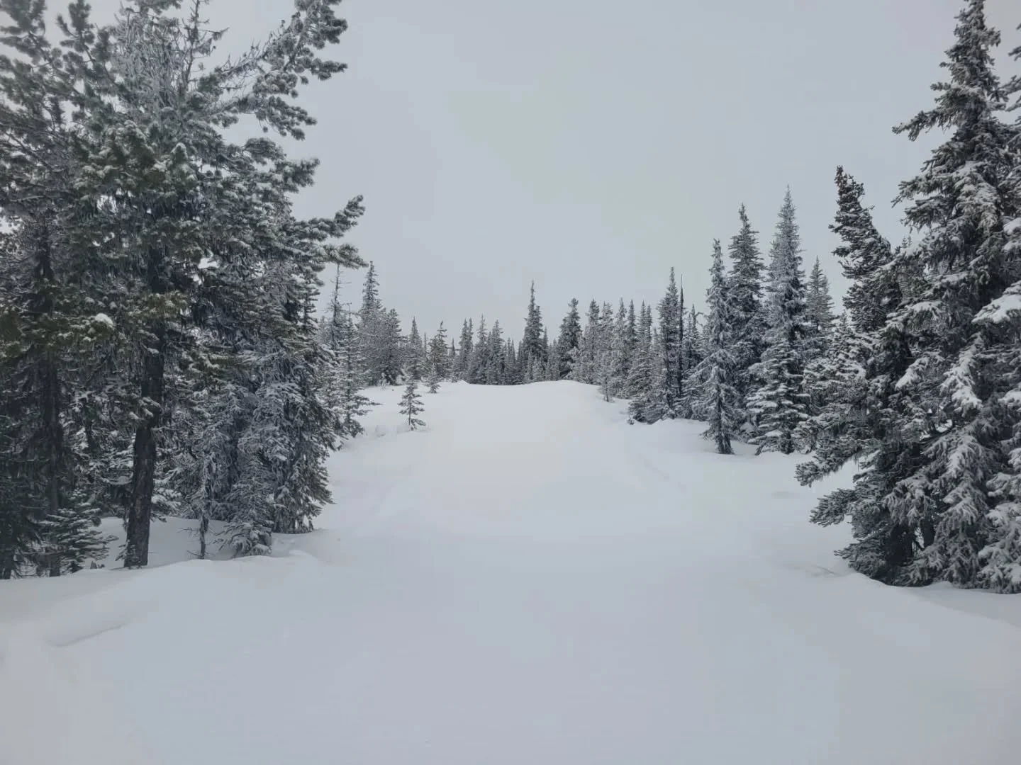 Good morning and happy Saturday. Fresh snow has fallen, winter is back! Over8cm and falling...a blizzard up here this morning.

Land blessing ceremony begins at 10. The purpose today is to acknowledge the history of the land, the history of the peopl