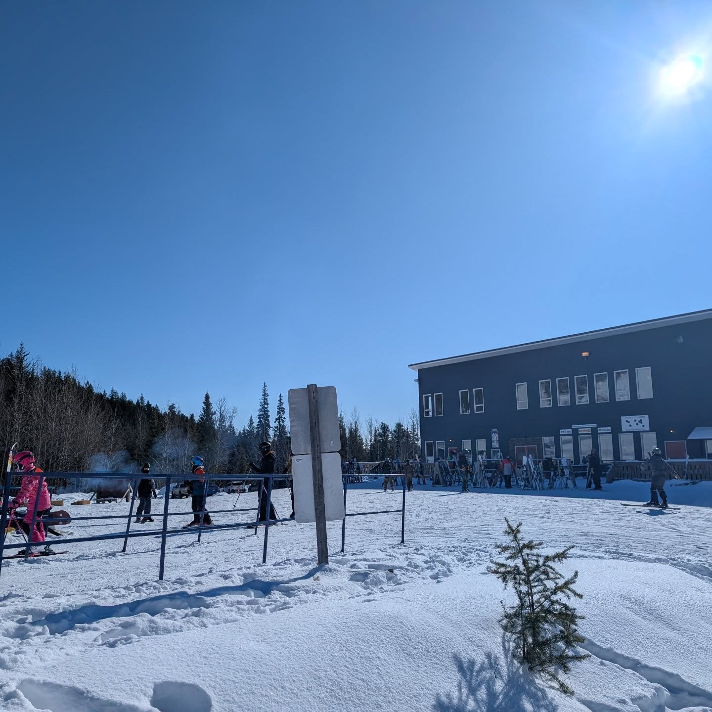 Gang, what a magical day! If there's one thing Murray Ridge can do, it's an epic blue bird. 

And a blue bird on top of the fresh snow and the perfect  temps. *Chefs kiss

Might as well do more of the same tomorrow? Free skiing for little ones 12 and