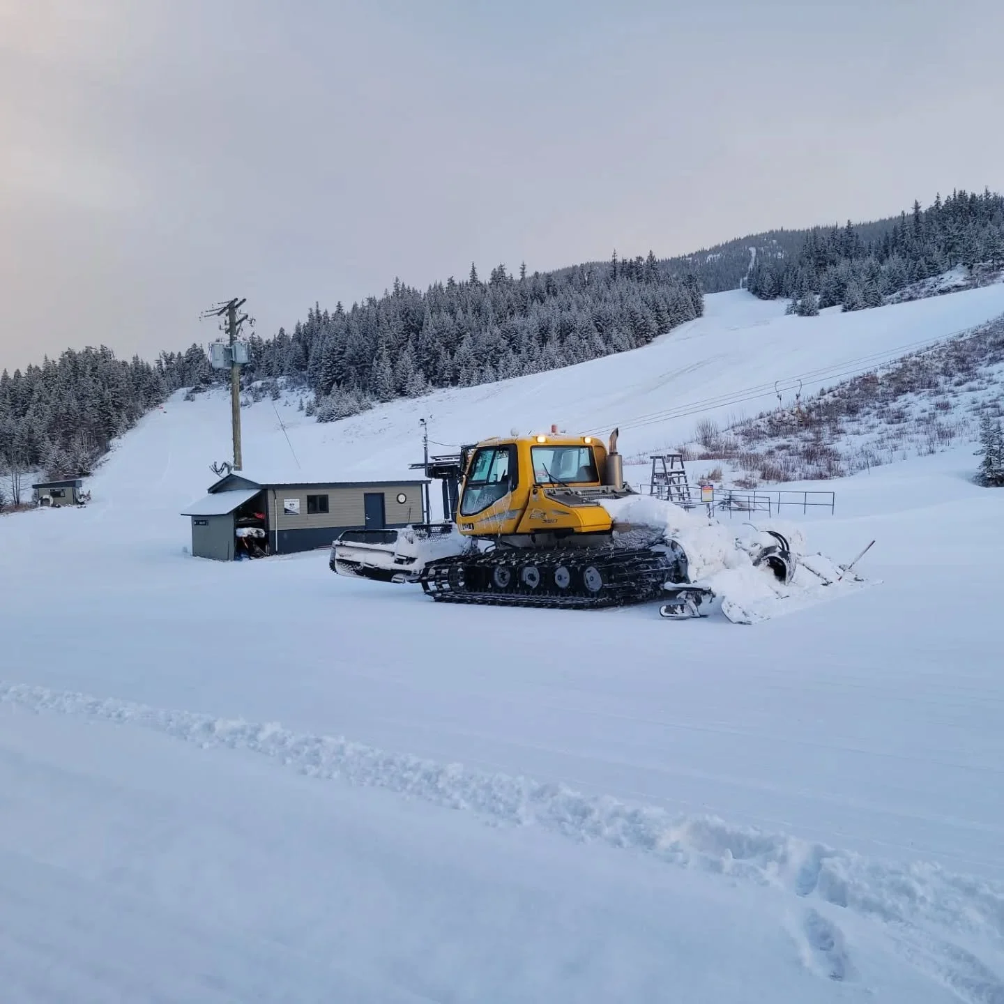 Unforecasted snow. Yes please! We wanted to wait for the sun to come up to post today so that you can see how good the hill's looking! 8Cm of fresh snow and blue skies! 

Happy Thursday!

Lifts run 930-330 today!