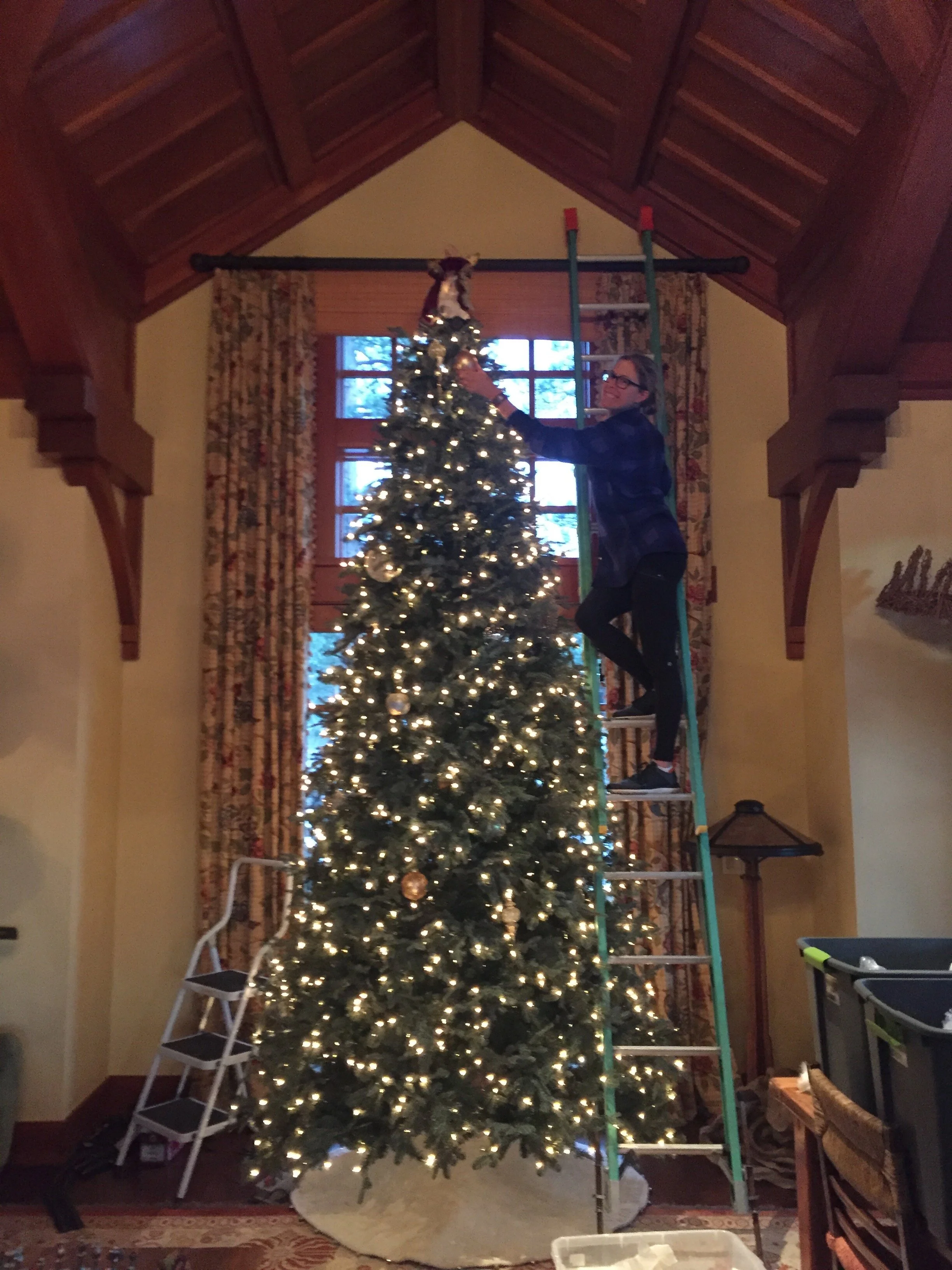 Holiday Decor &amp; Lighting
