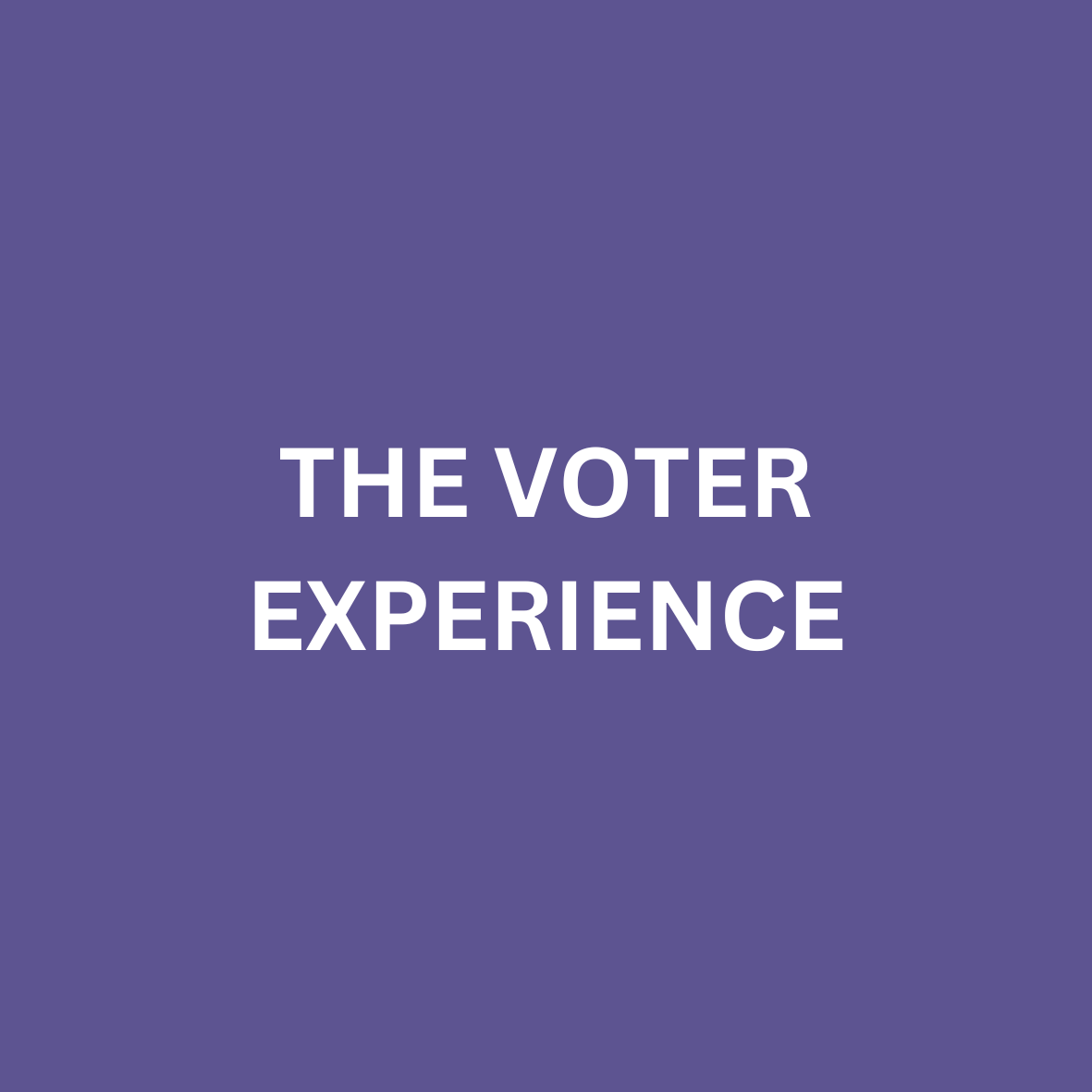 THE VOTER EXPERIENCE-3.png