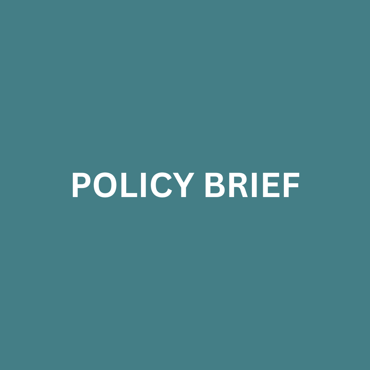 Policy Brief.png