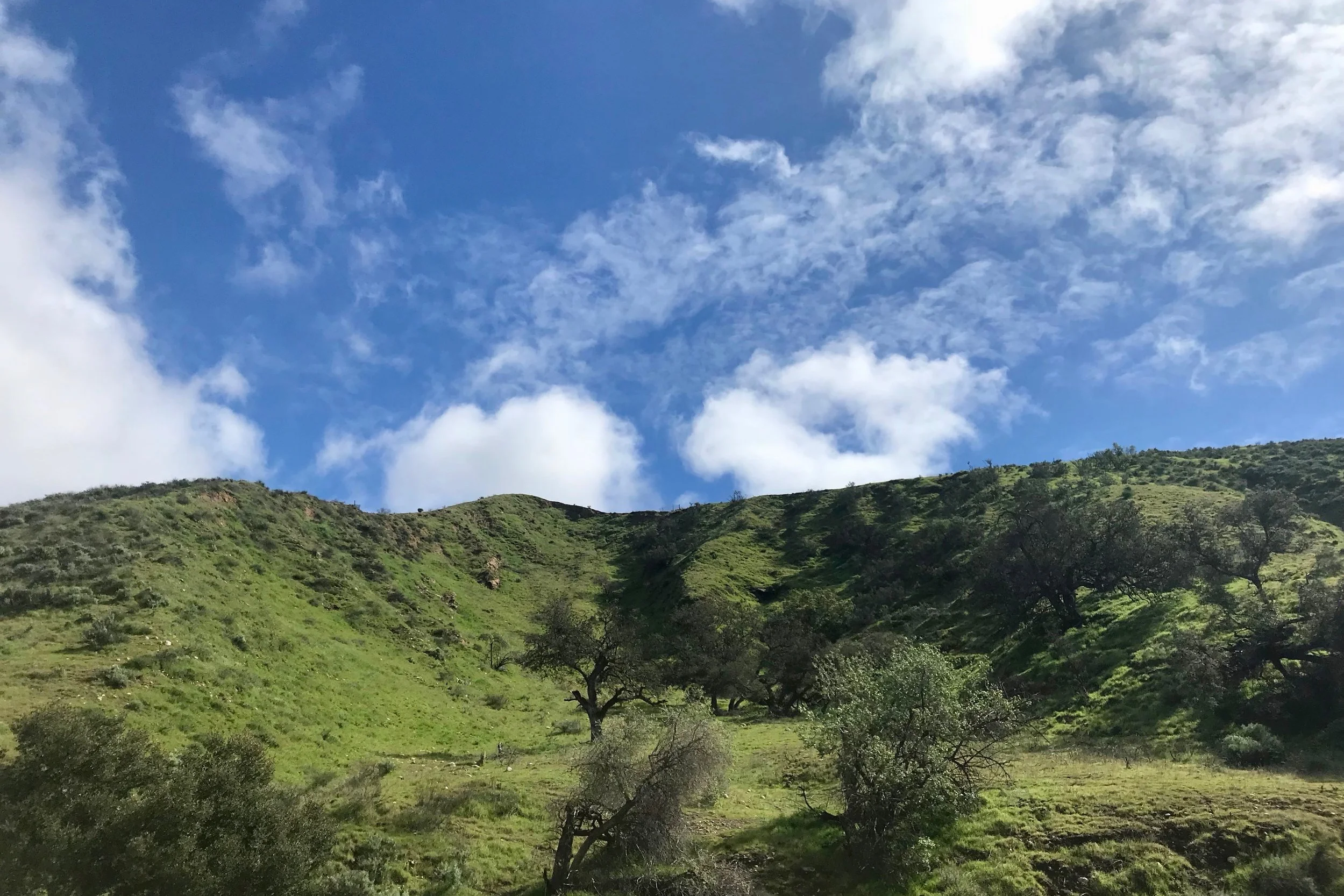 Beautiful scenes from the bike ride. Arroyo Simi Bike Path Flat, approximately 18 miles round trip if you start around Madera to Yosemite Avenue in Simi Valley.