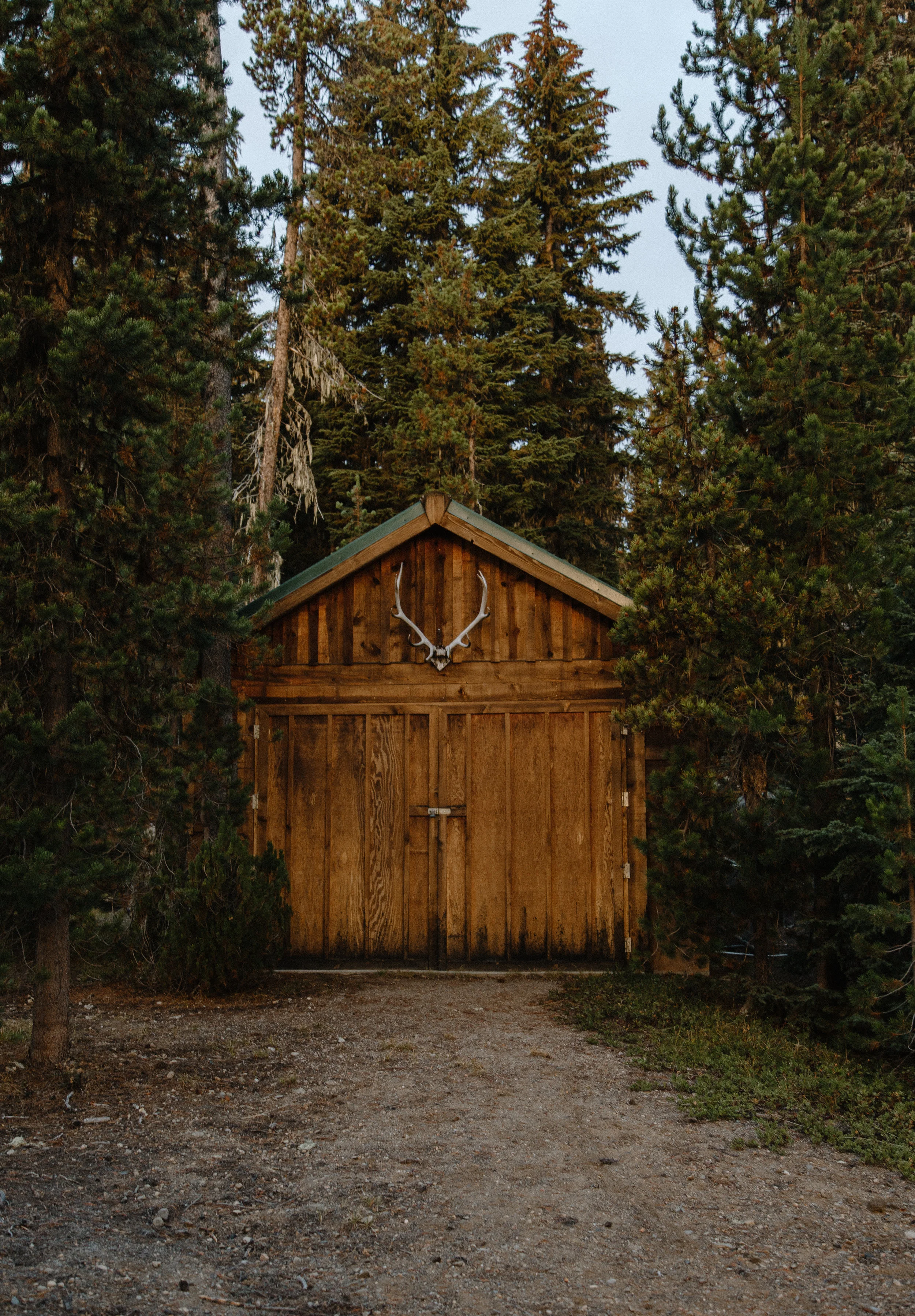 Elk Lake Resort is filled with a variety of public and private cabins spread around the vicinity of the lake. This rustic shack was tucked in the forest behind one of the cabins people can rent for the summer. 