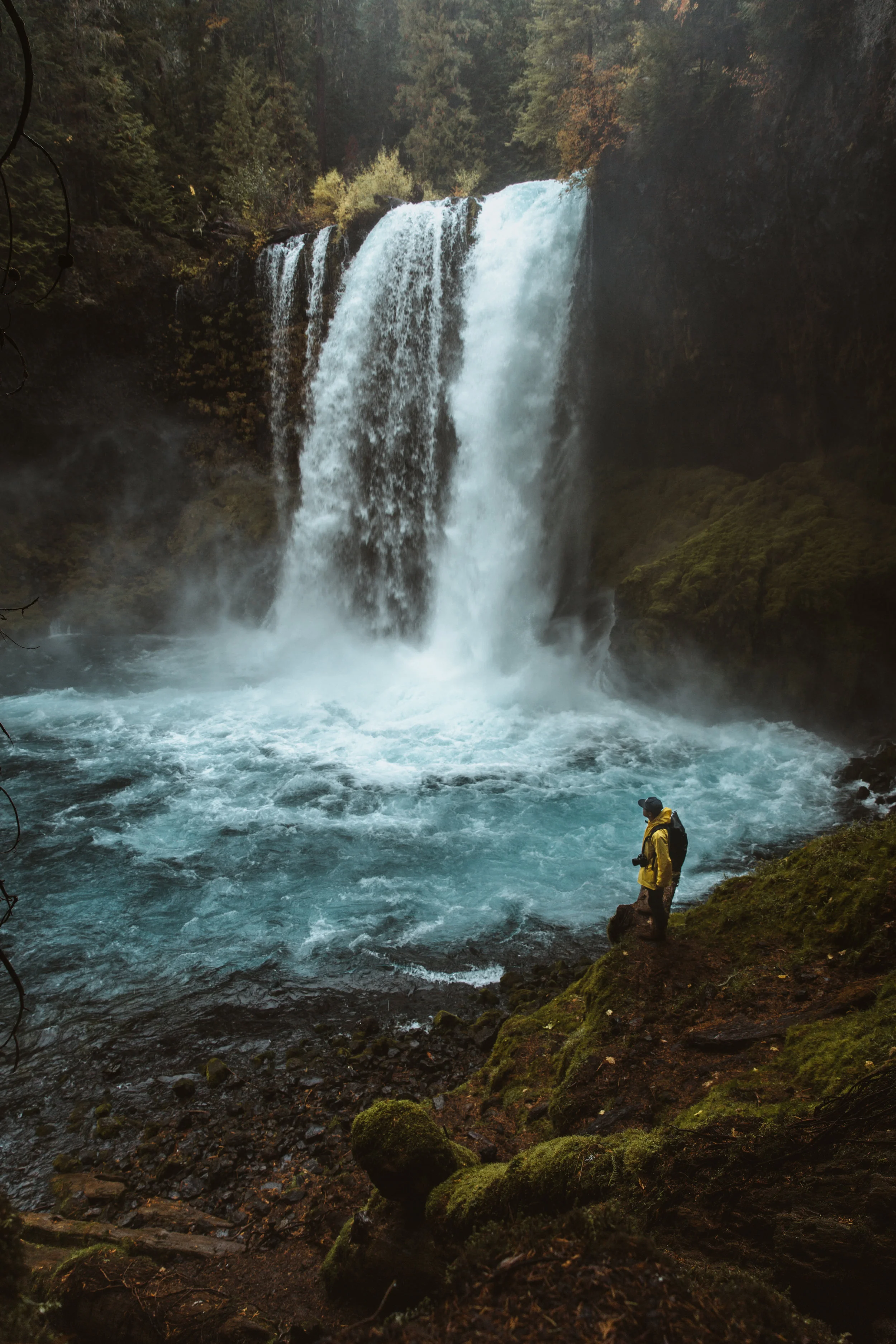 Koosah Falls - Oregon