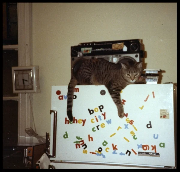 Every studio needs a cat. Well Zoltan had 4! Here's Ollie chilling out on top of the freezer at 3:30 in the AM after a night at the Roxy.