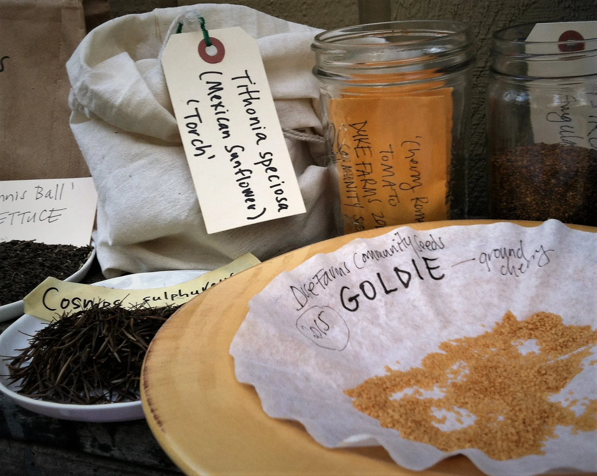 Part of the seed harvest from the Community Seeds program at Duke Farms in New Jersey.