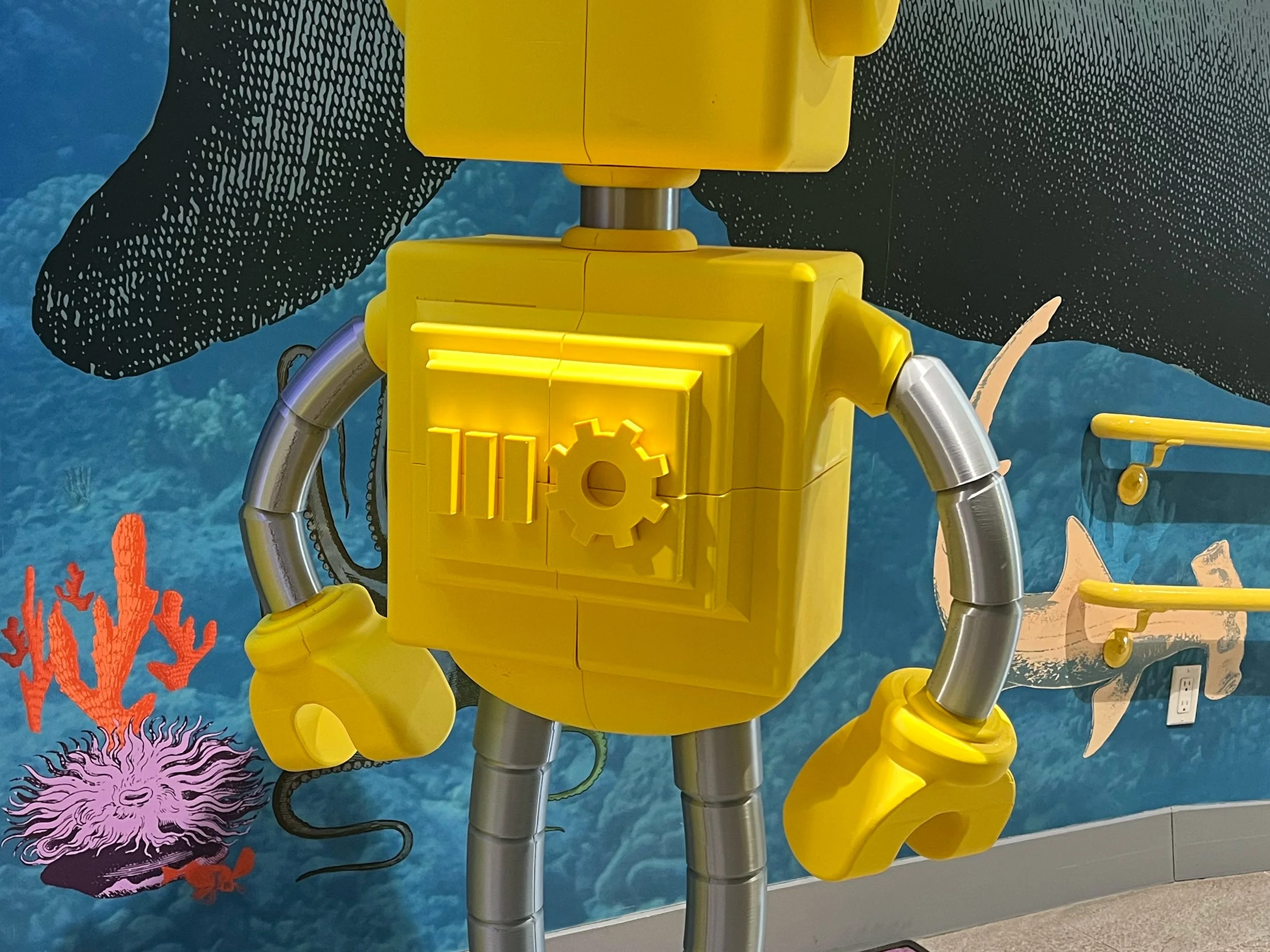 B_BOT_back.jpg