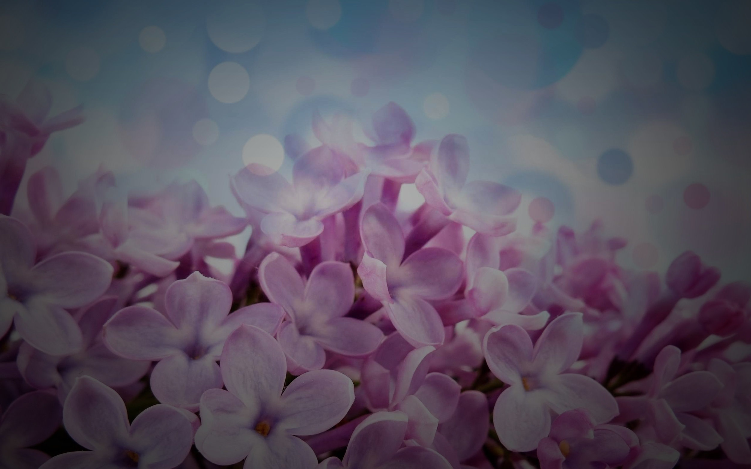 Main-Banner-Image.jpg