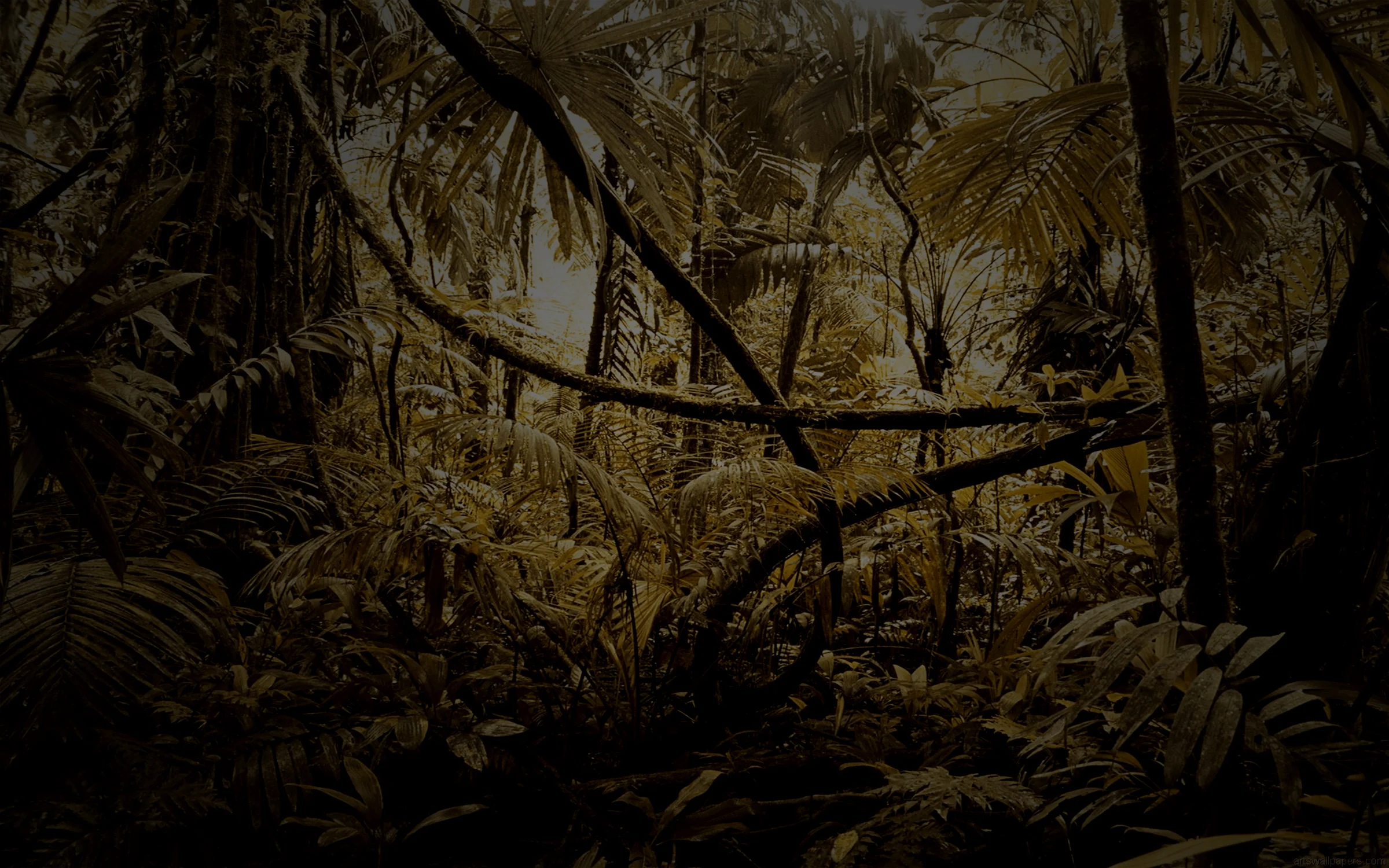 forest-background.jpg
