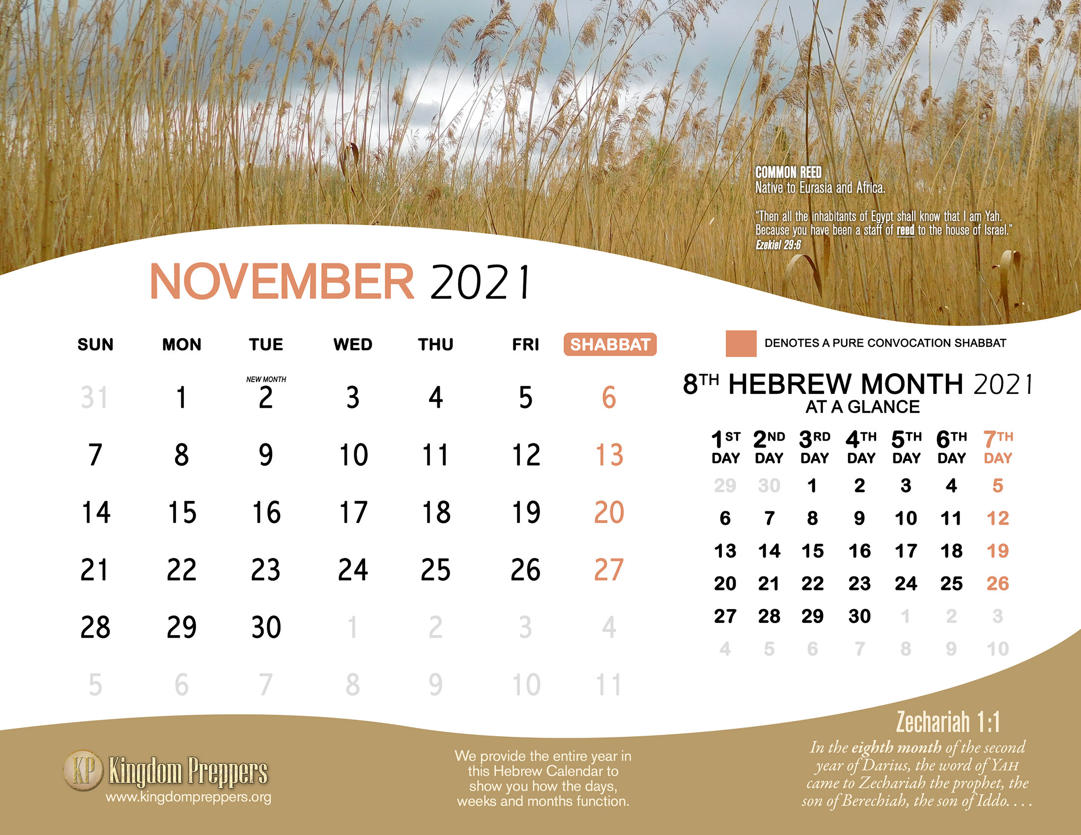Mrhebrew1 Calendar 2022 Hebrew Israelite Calendar (2021-2022) — Kingdom Preppers