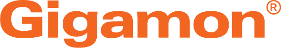 Web-Gigamon-Orange-Logo (1) - Megan Nation.png