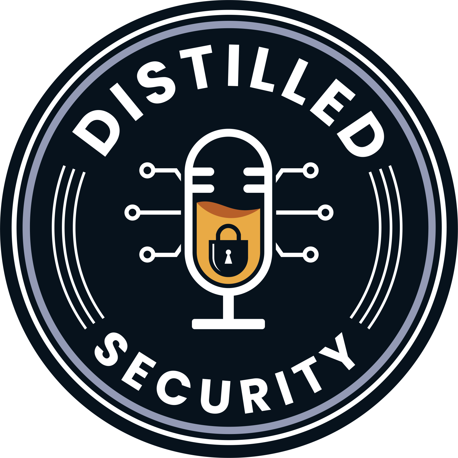 dsp-logo.png