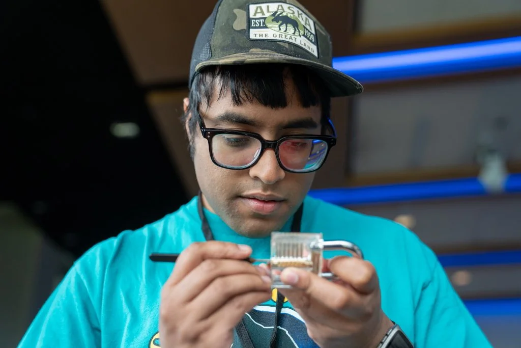 AJ909695.jpg