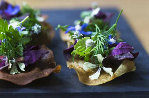 Our Favourite Restaurants