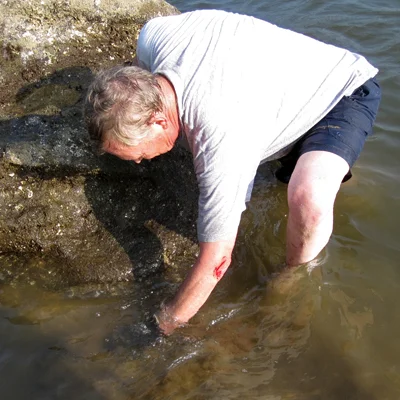 Dmitri grabbing crabs.
