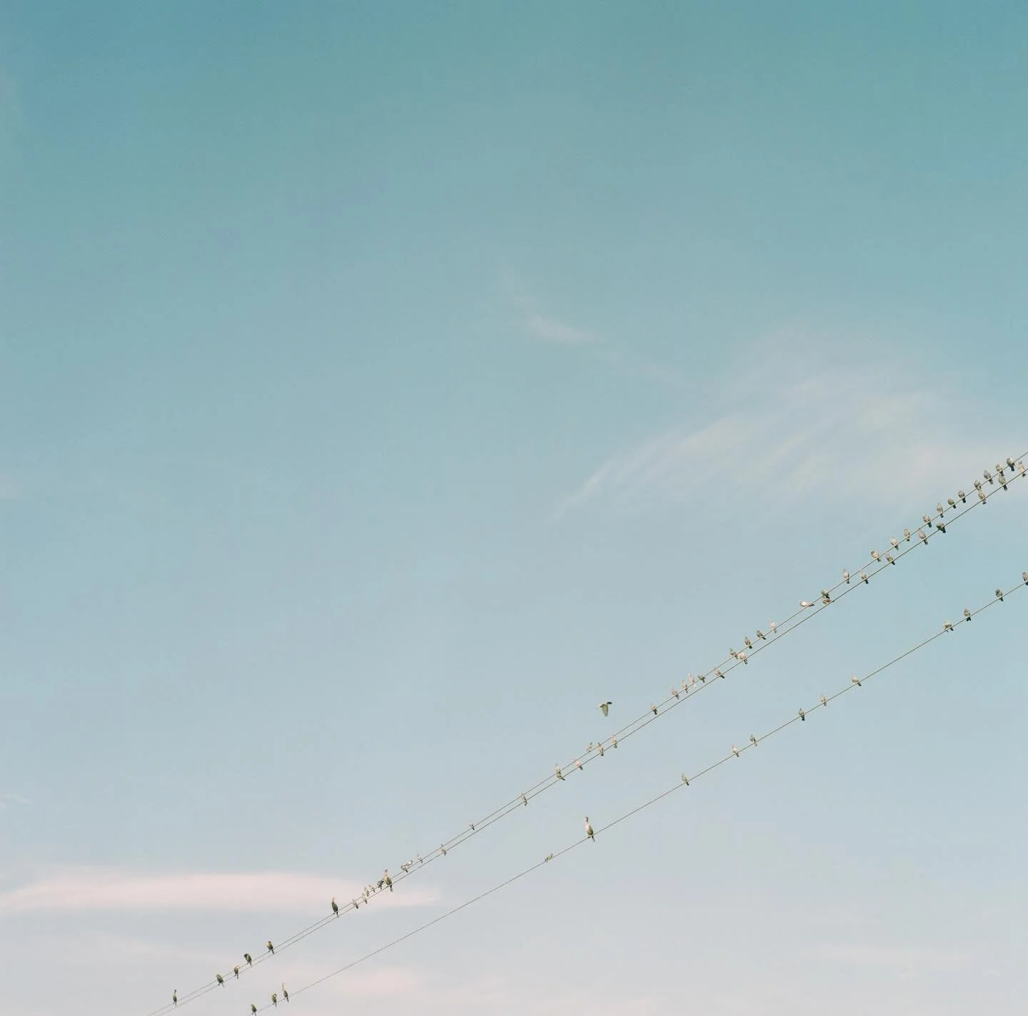 Fifty-three minutes left in 2025.

Like many, I spent part of the night reflecting on all that was the past 365 days.

Part dumpster fire.
Part beauty in the ashes.

I read through all my notes from my sacred place to be me (aka therapy) and wrote ou