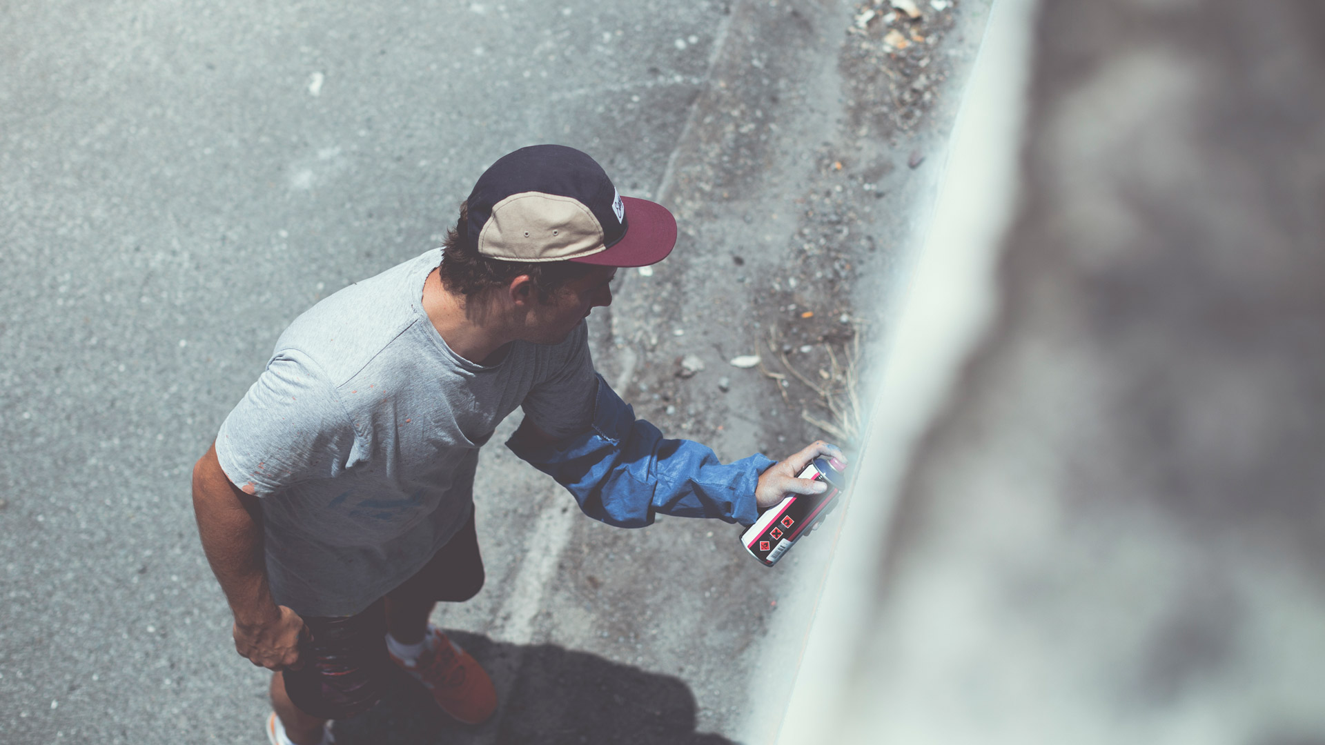 Sofles-AlleyCat-1.jpg