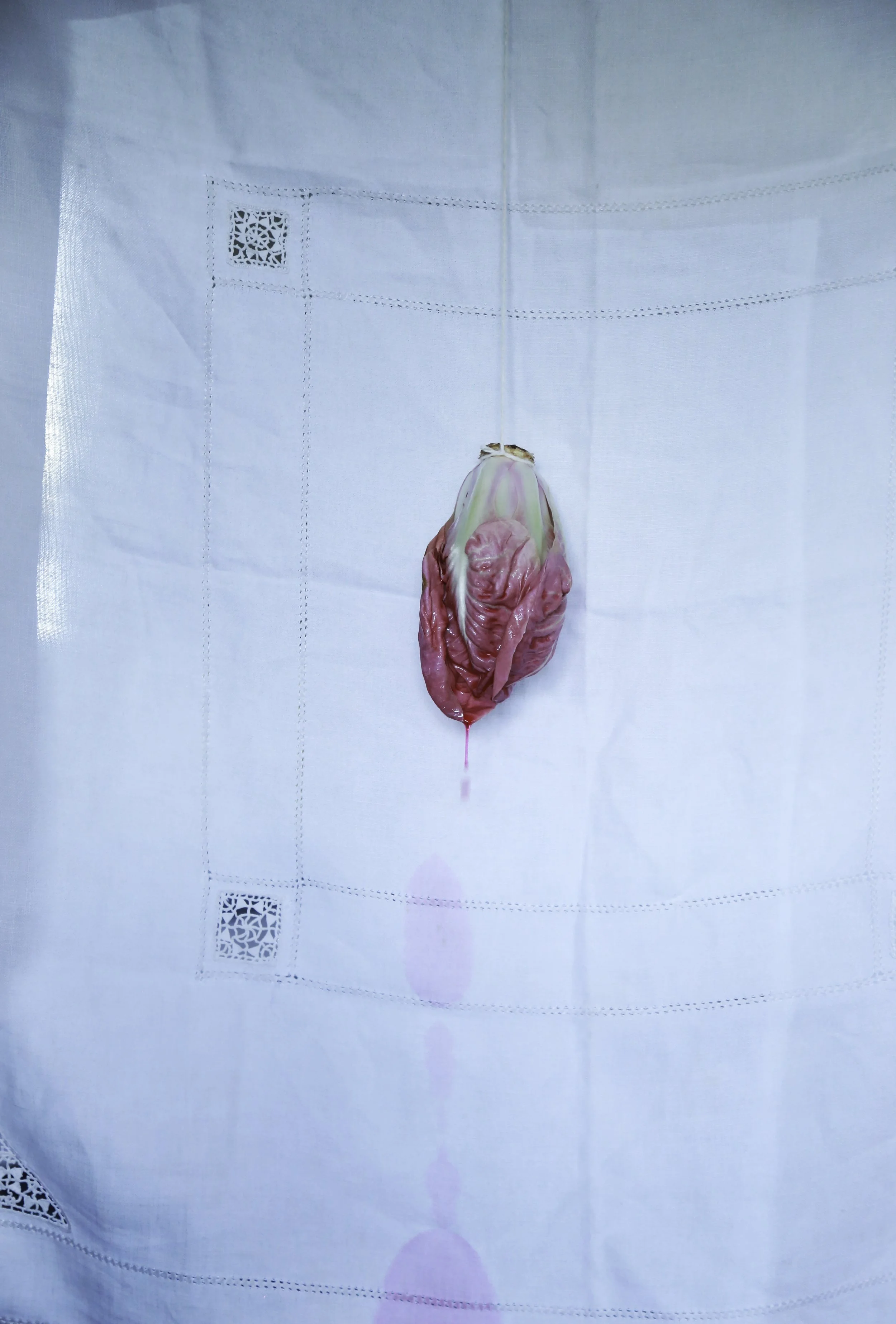 radicchio.jpg