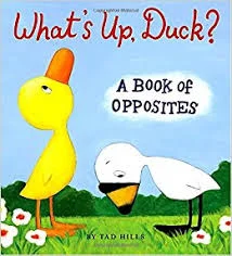 duck image.jpg