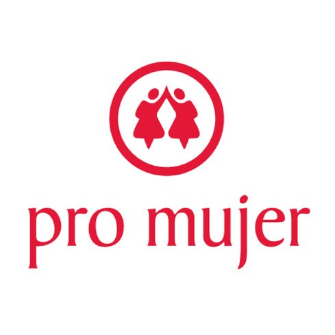 logo-promujer-blanco.jpeg