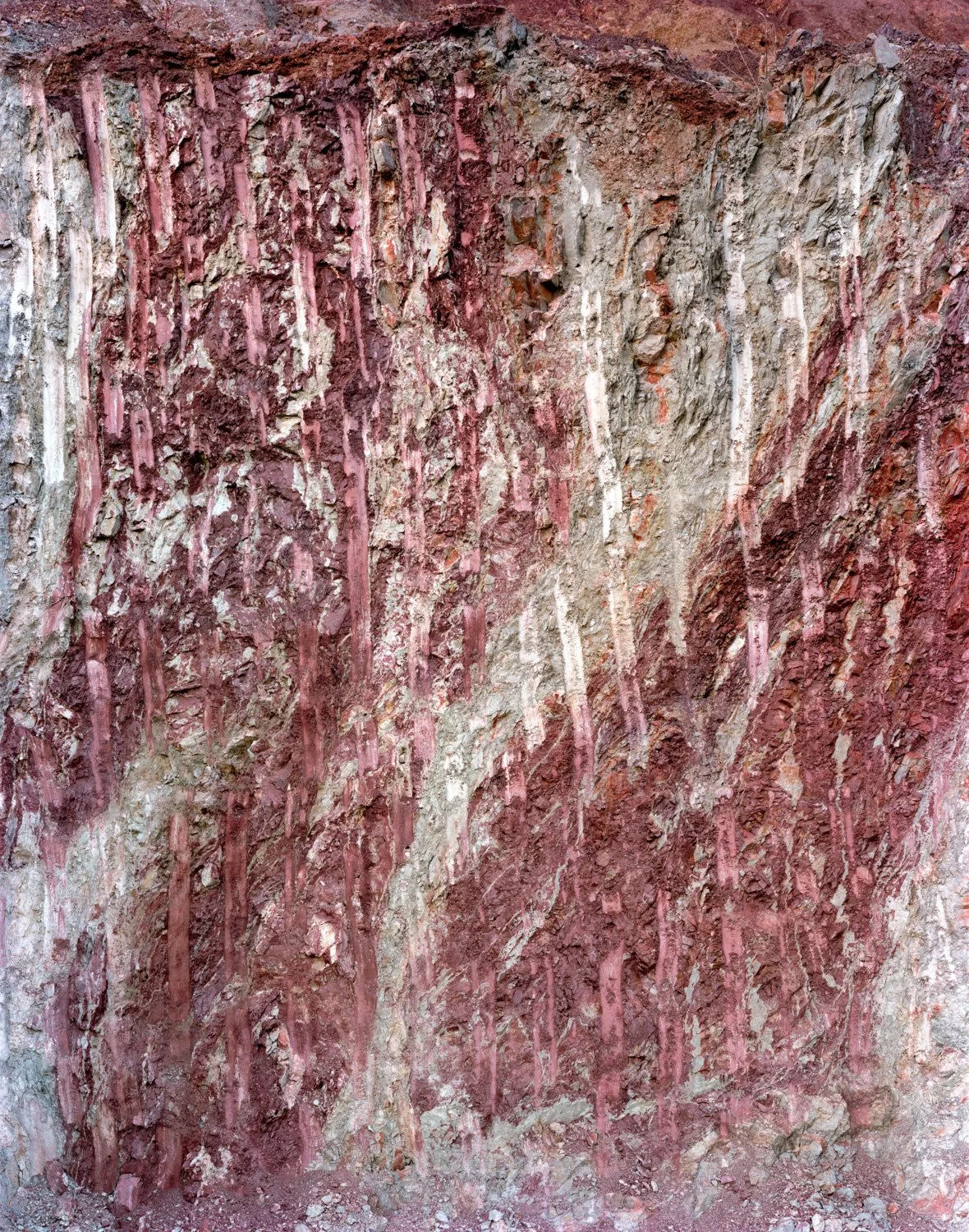 scutts_w-12.jpg