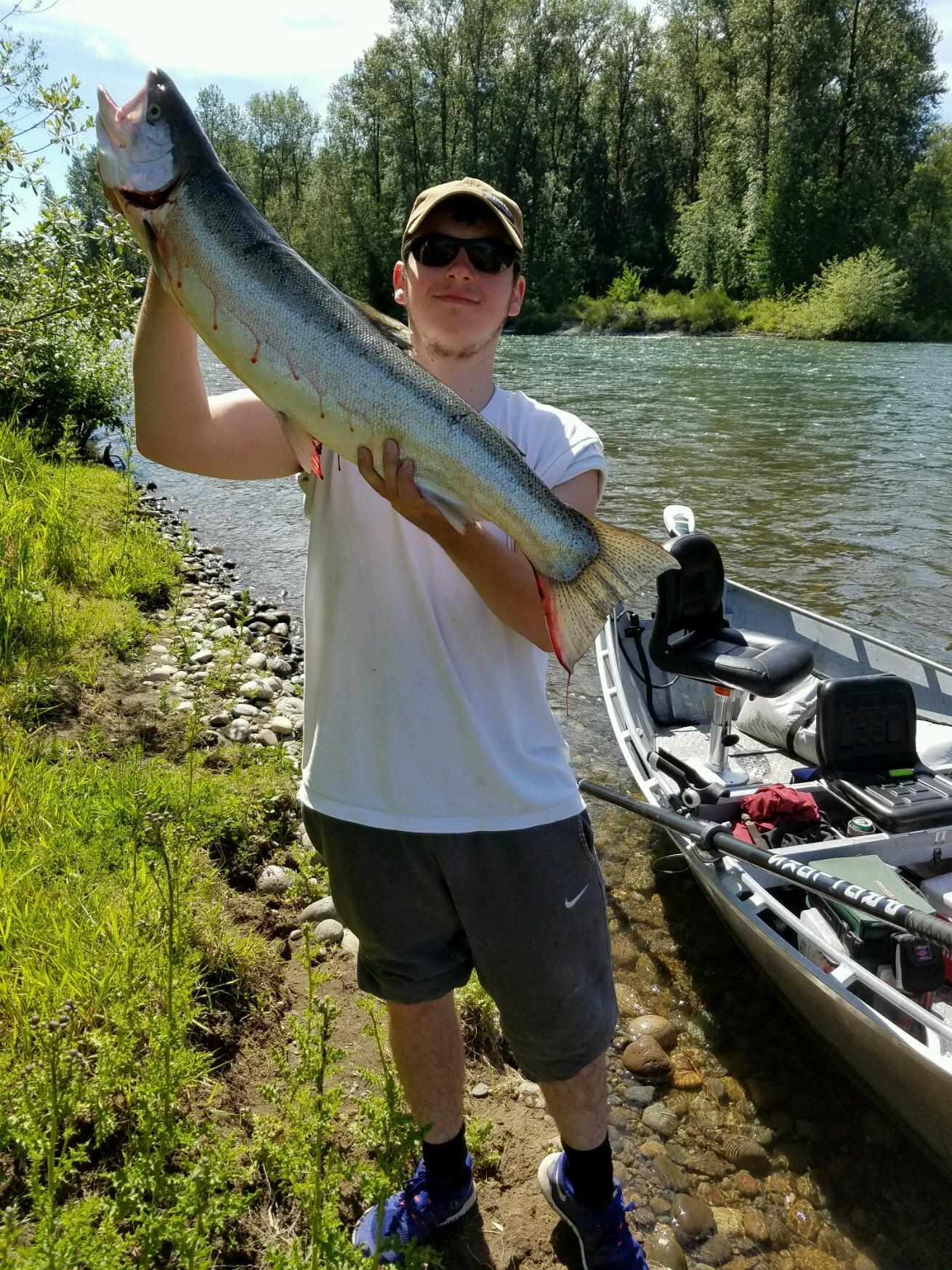 hatcherysummerrunsteelhead.jpeg