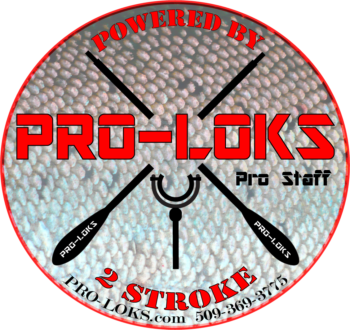 ProLoks_ReEdit_WEB_transparent.png