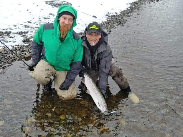 sastopfeb152019steelheadwild.jpeg