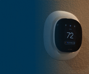NEW 392200 TIPS Display ads _300x250.gif