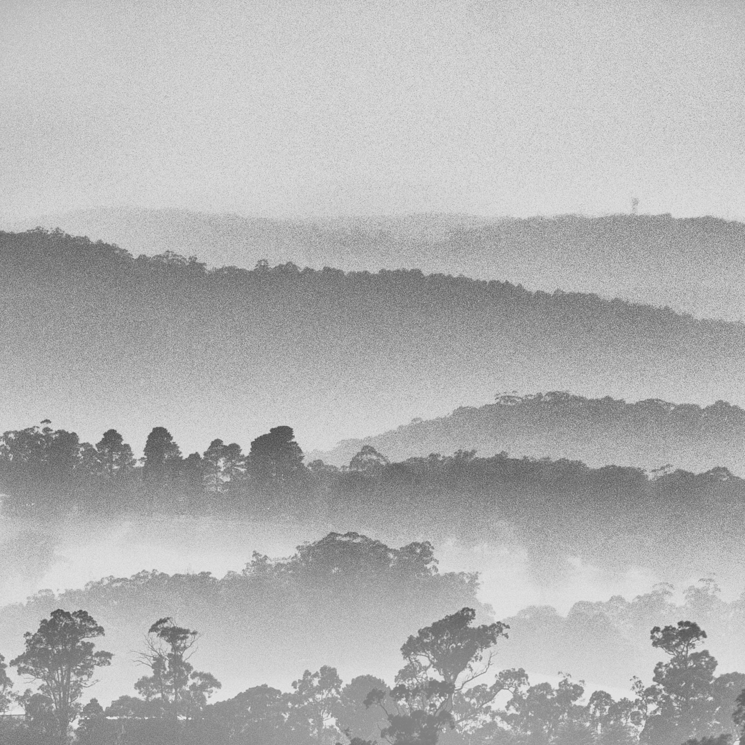 MEMBERS — MAPgroup