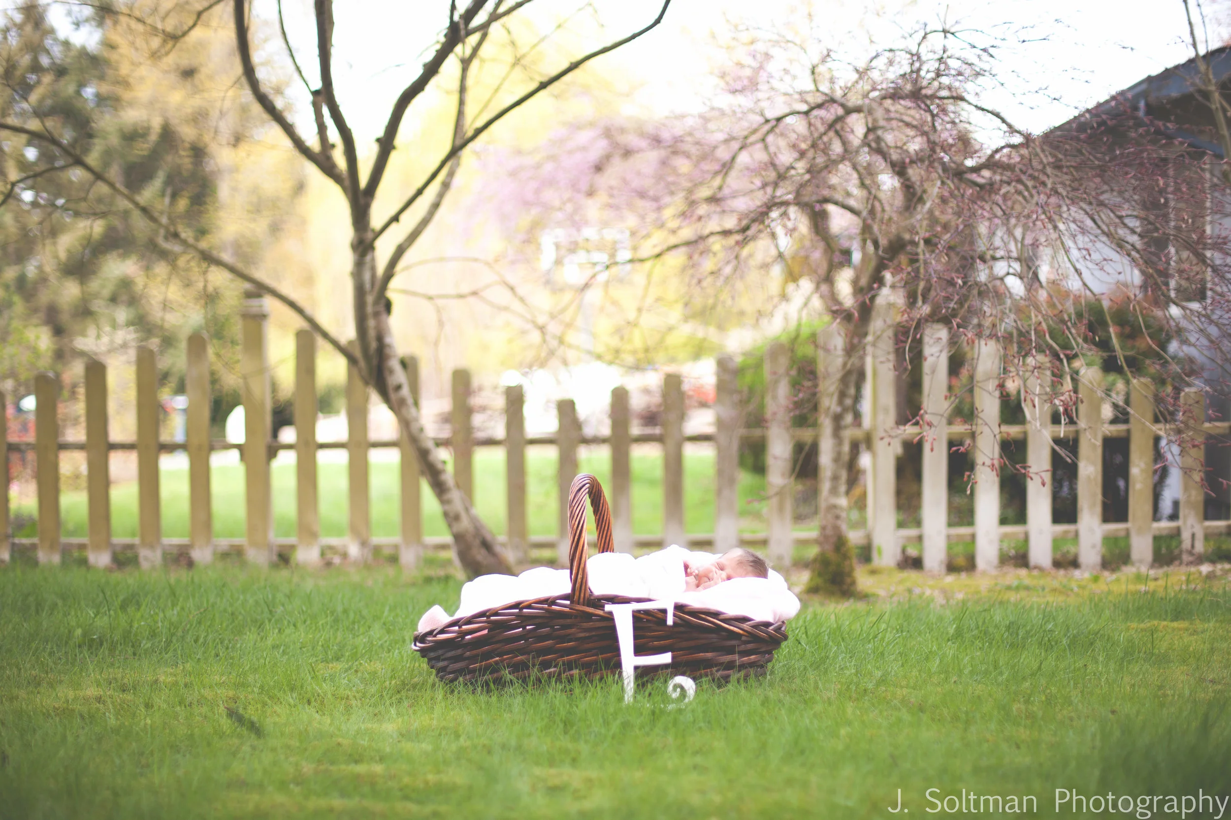 Snohomish Newborn Photos | Baby Eva