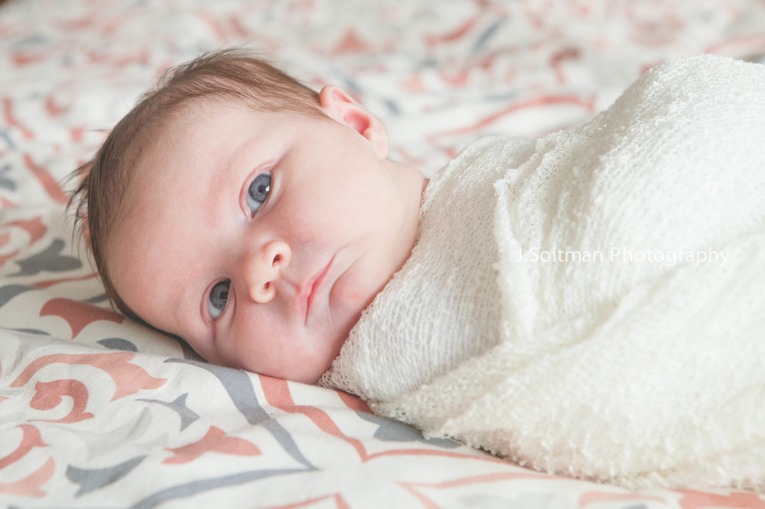 Seattle Newborn Photographer | Baby Evelyn 