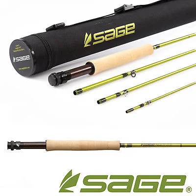 sage pulse 4.jpg