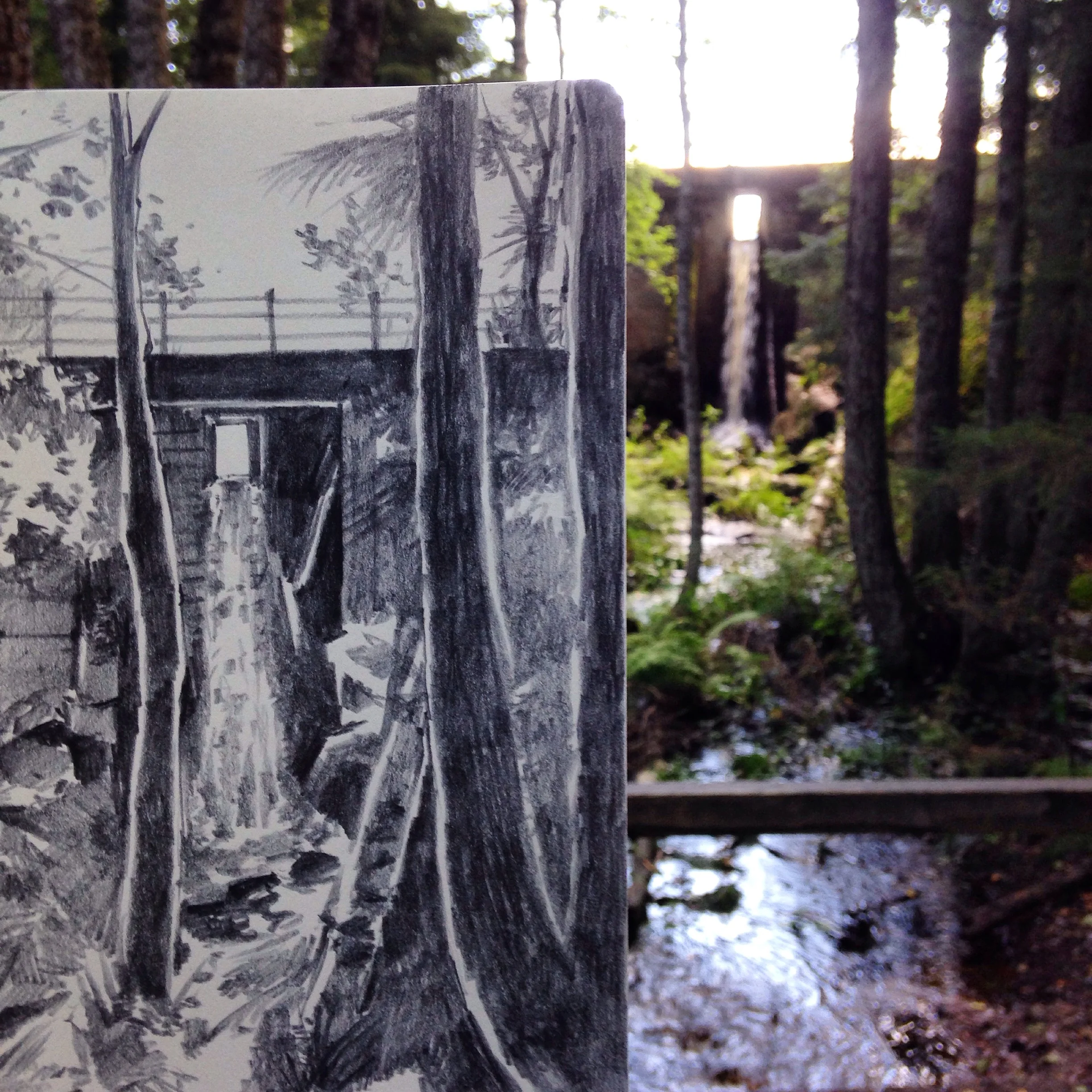 Haukkalampi, Nuuksio.JPG