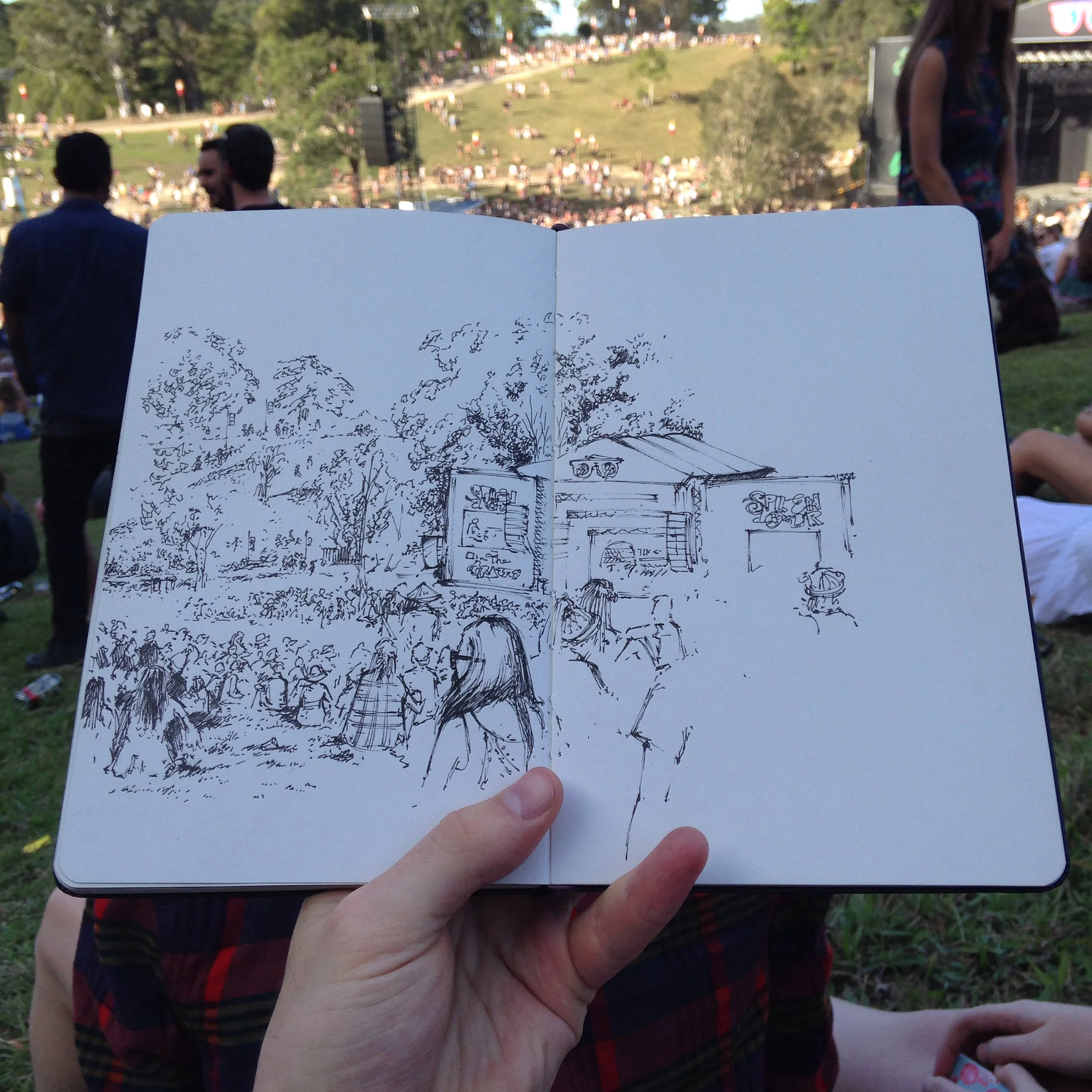 Splendour in the Grass.JPG