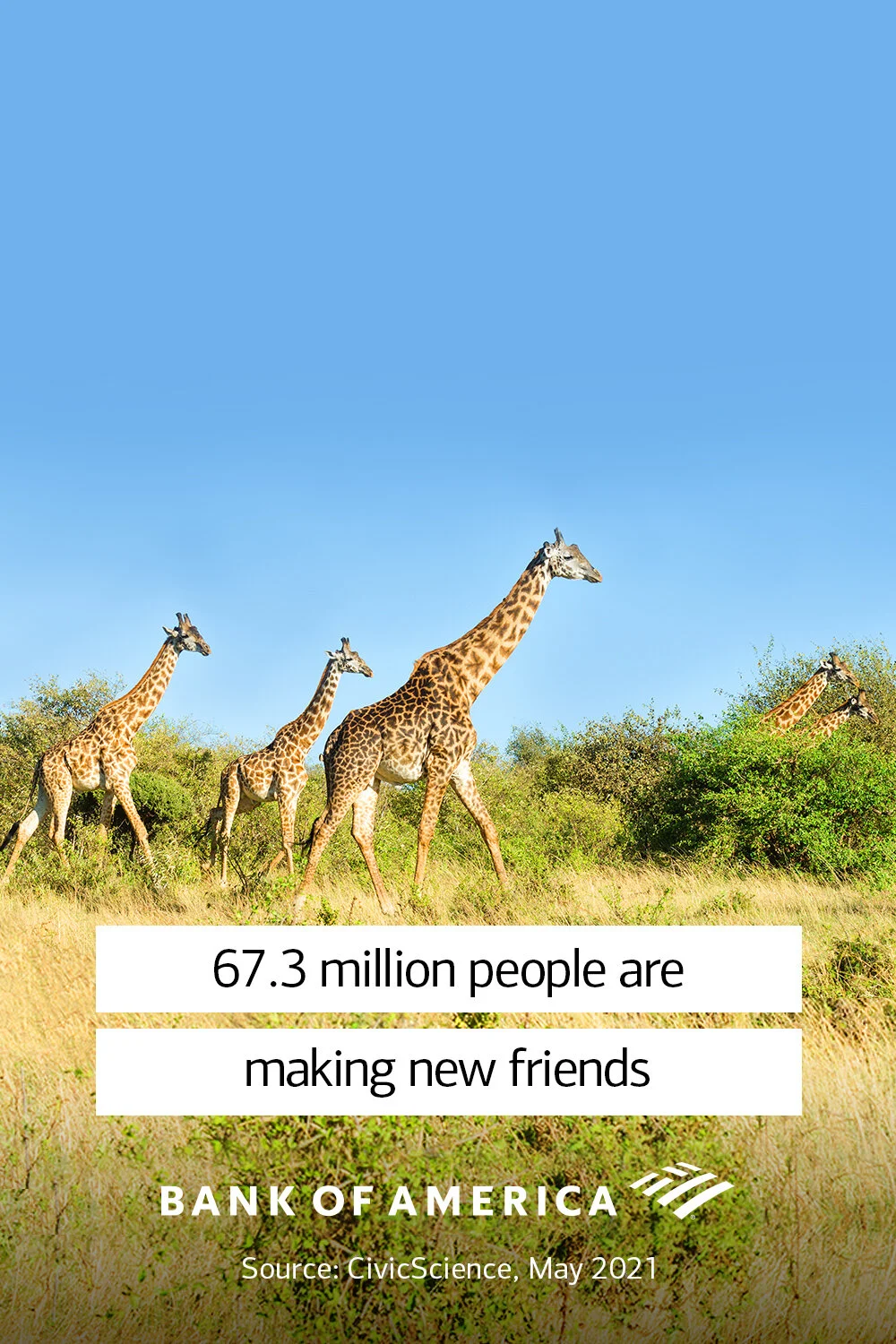 3_Zoo1.JPG