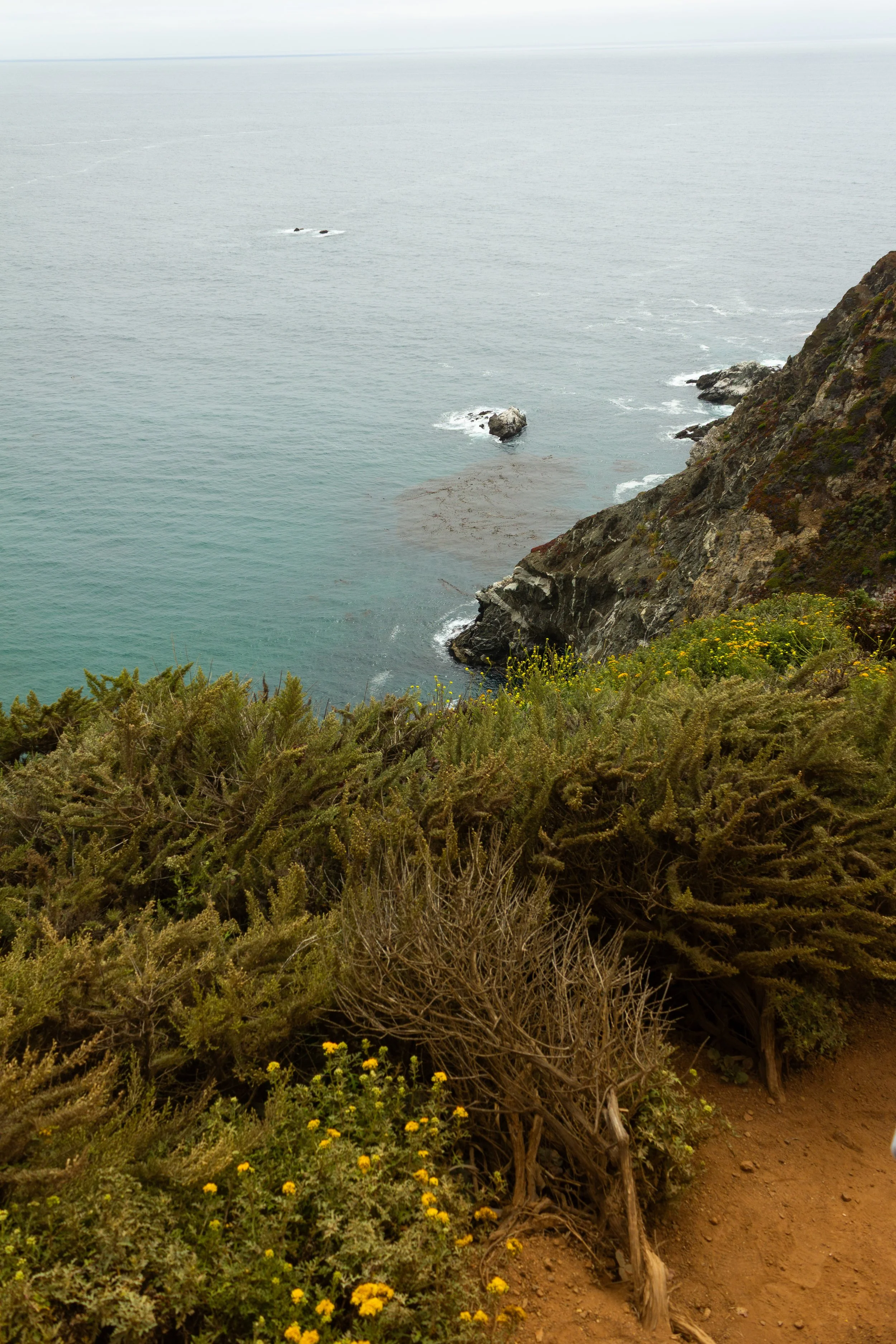 Monterey-4.jpg