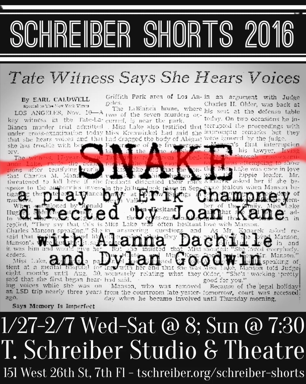 Marketing for SNAKE by Erik Champney