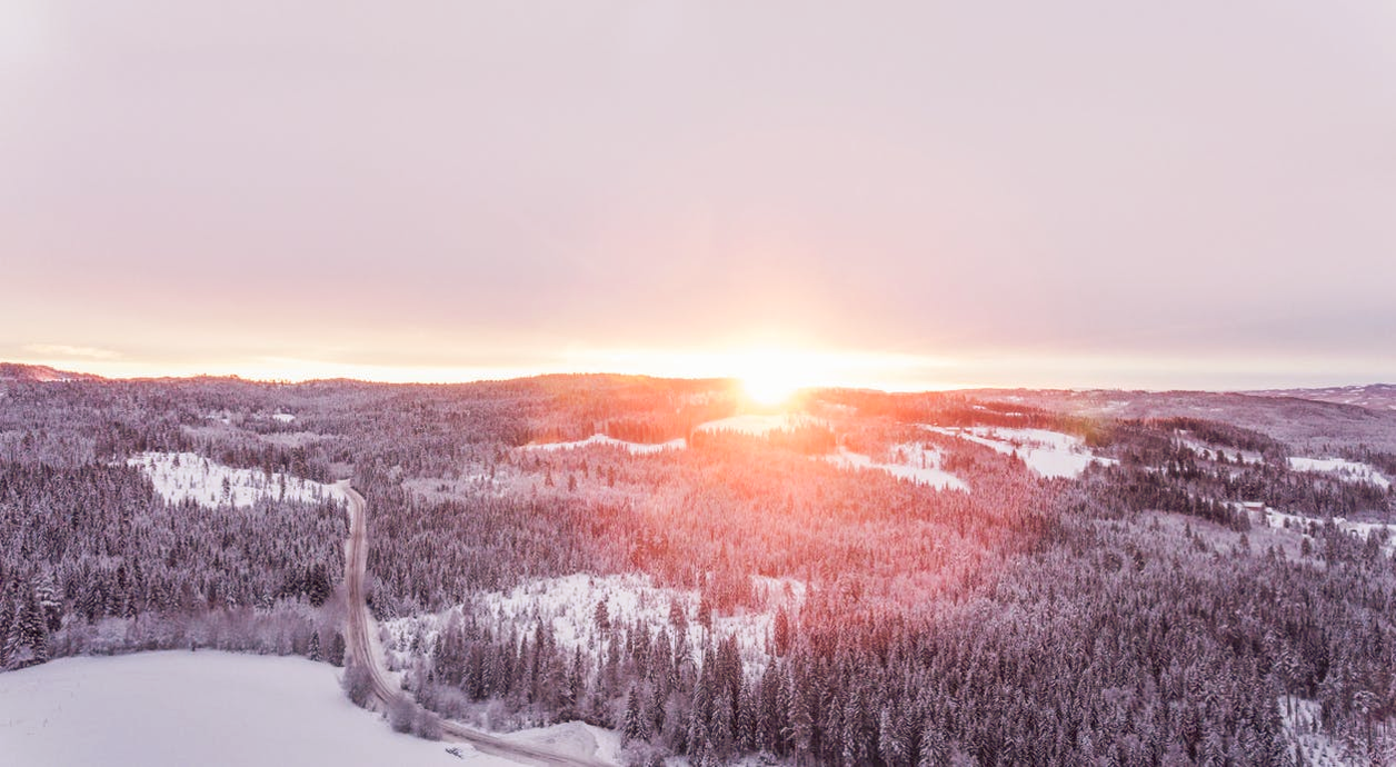arctic.png