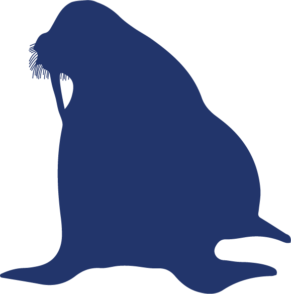 1A Wahlres Icon_dark background.png