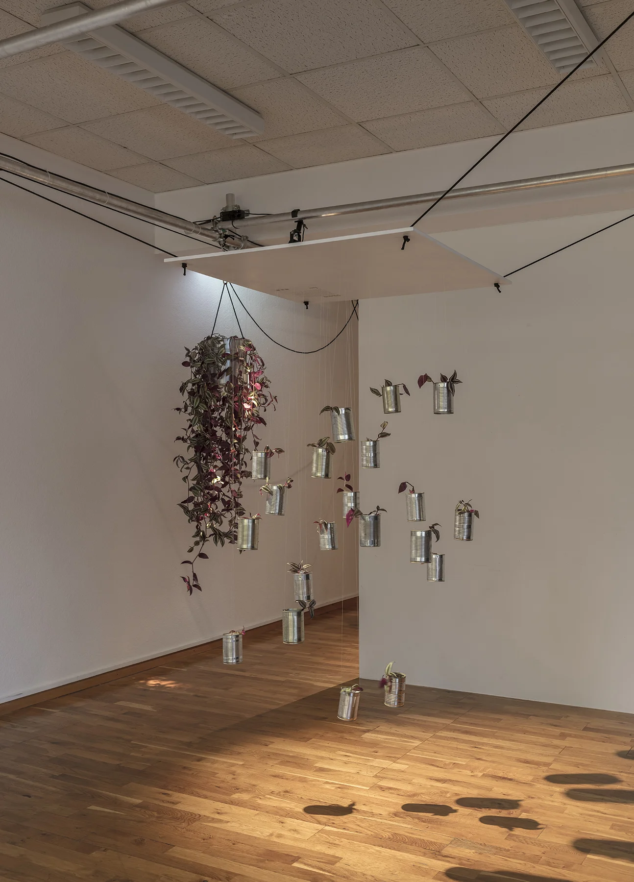 HEAD_GENEVE_RUEDI BAUR_JANVIER2018©DylanPerrenoud_14.jpg