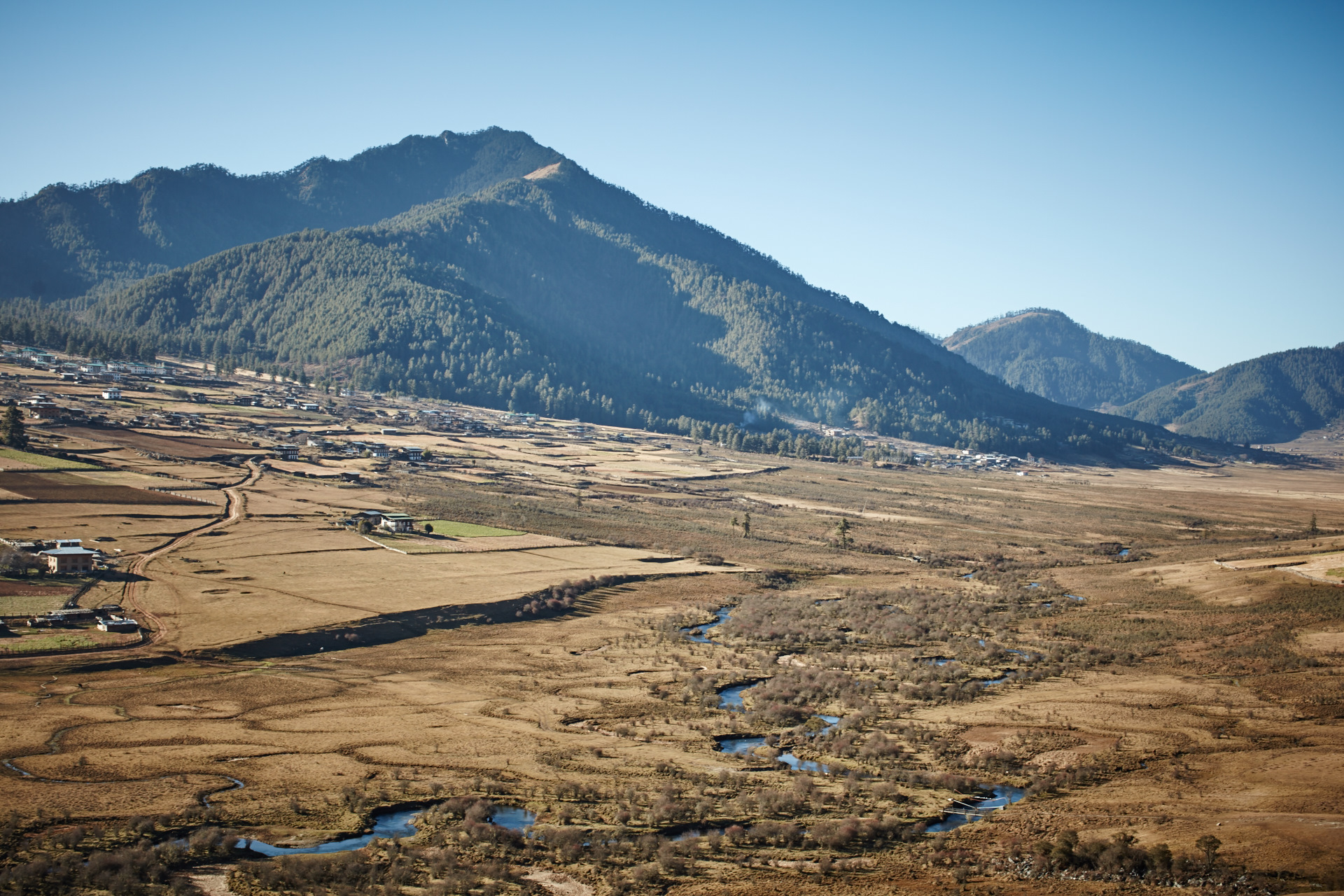 Hiking in the Phobjikha Valley where Black-necked Cranes visit every winter