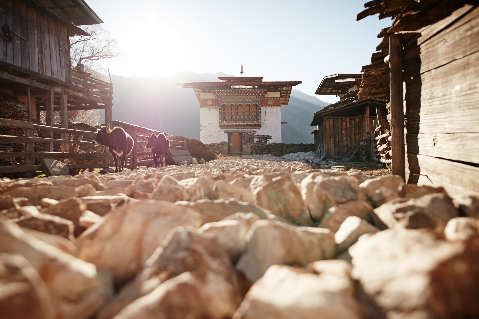 Phobjikha Valley - Kingha Tang Potato Farmers _BSR0468.jpg