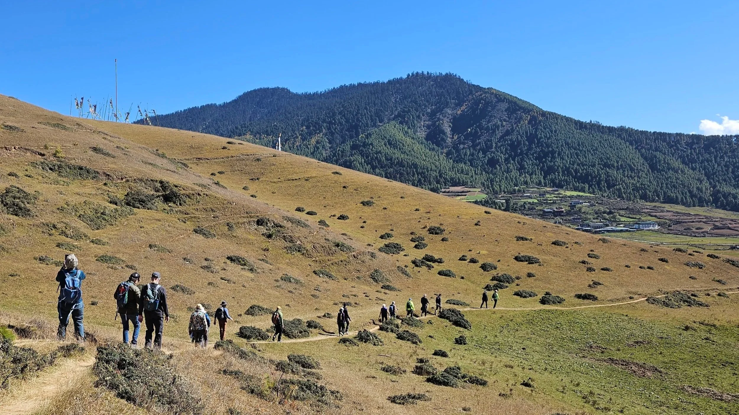 Gangtey Nature Trail 
