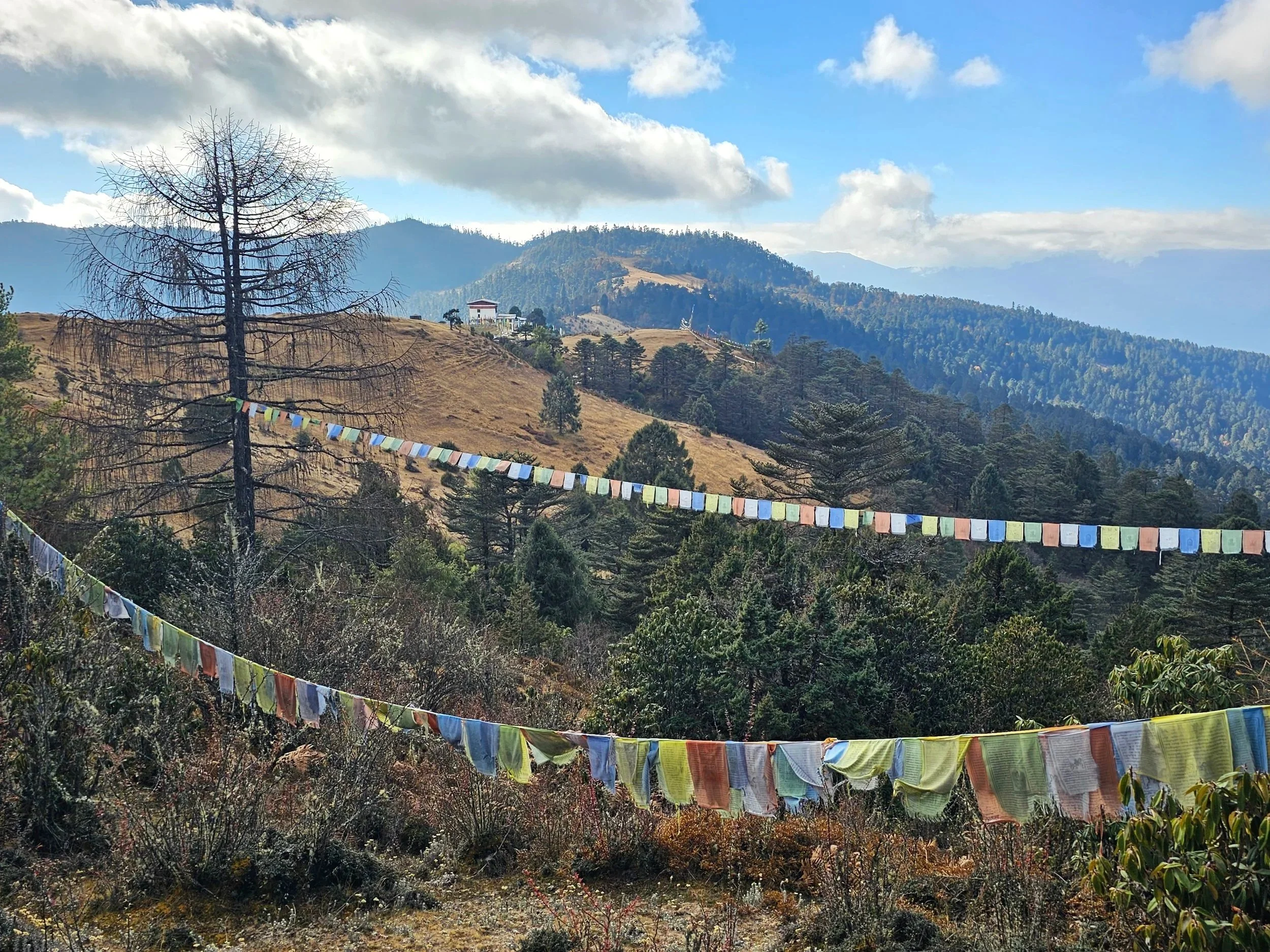 Run the Himalayas : Trail Running Adventures in Bhutan
