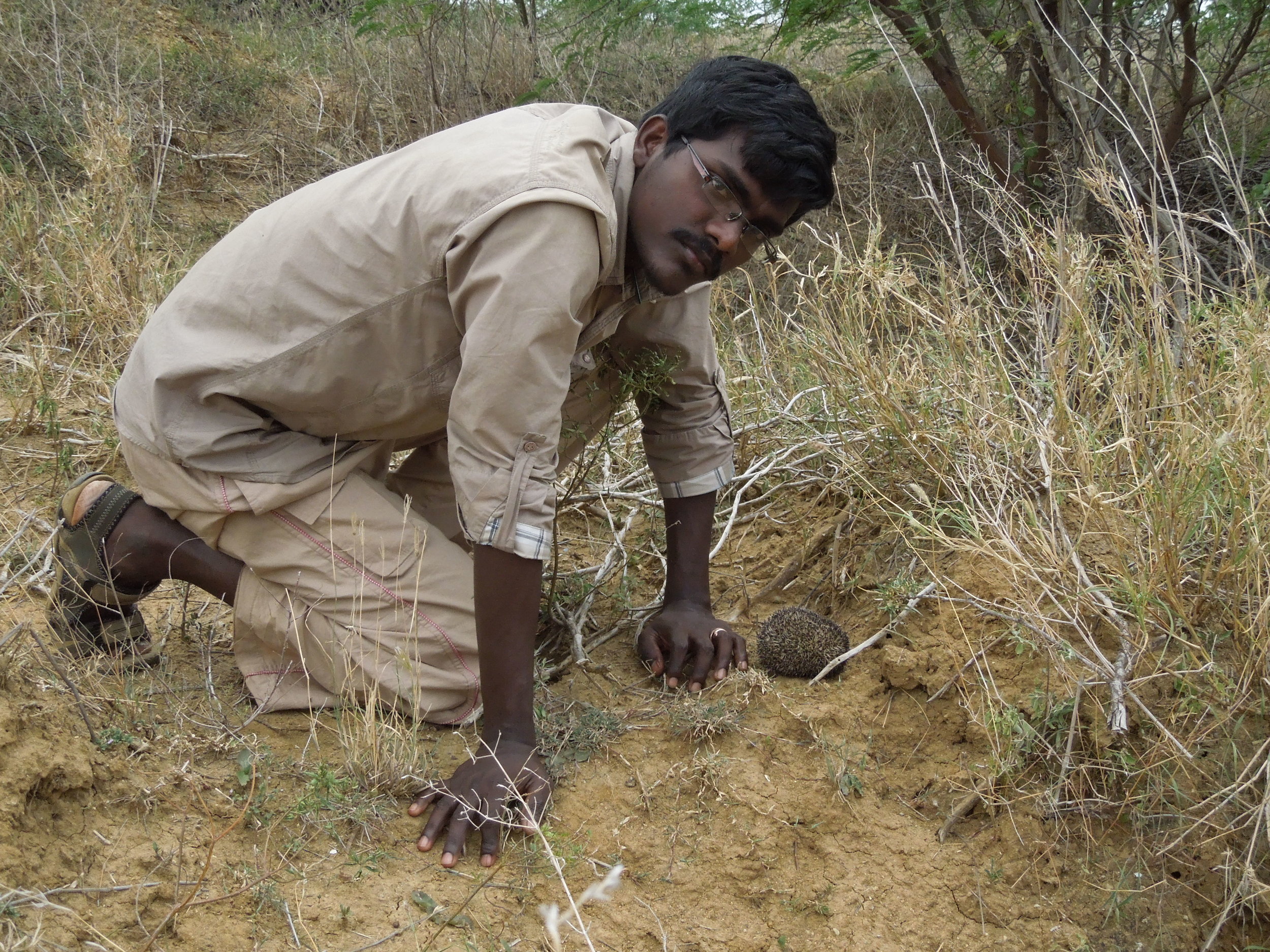 Grantee Update: Brawin Kumar