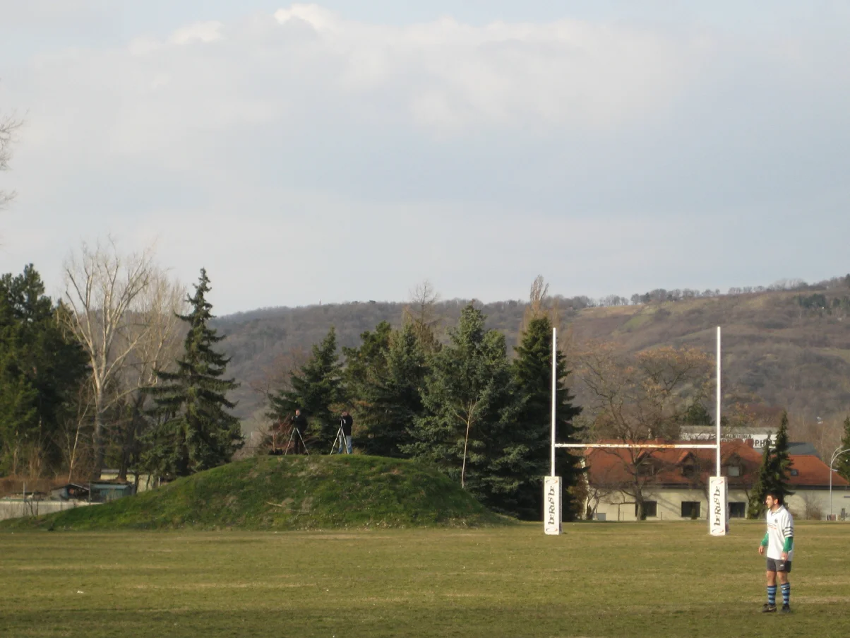 dirnelwiese.jpg