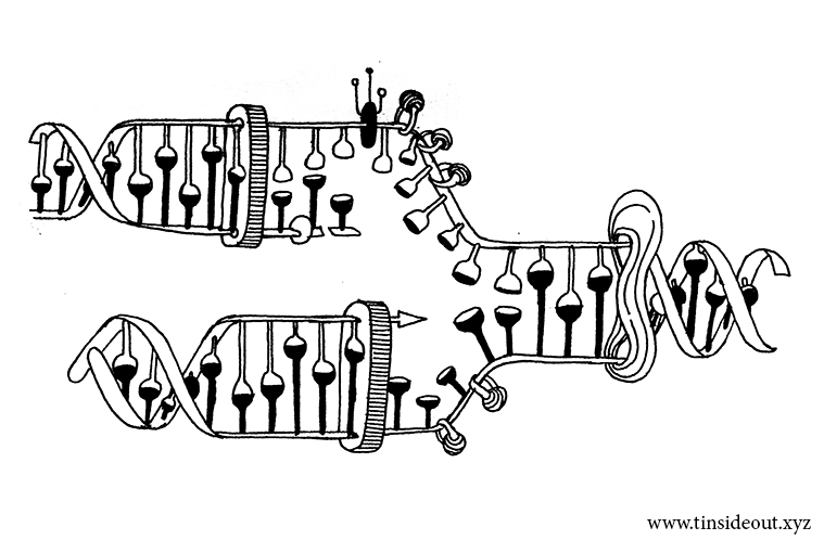 Adaptable ©Tinsideout